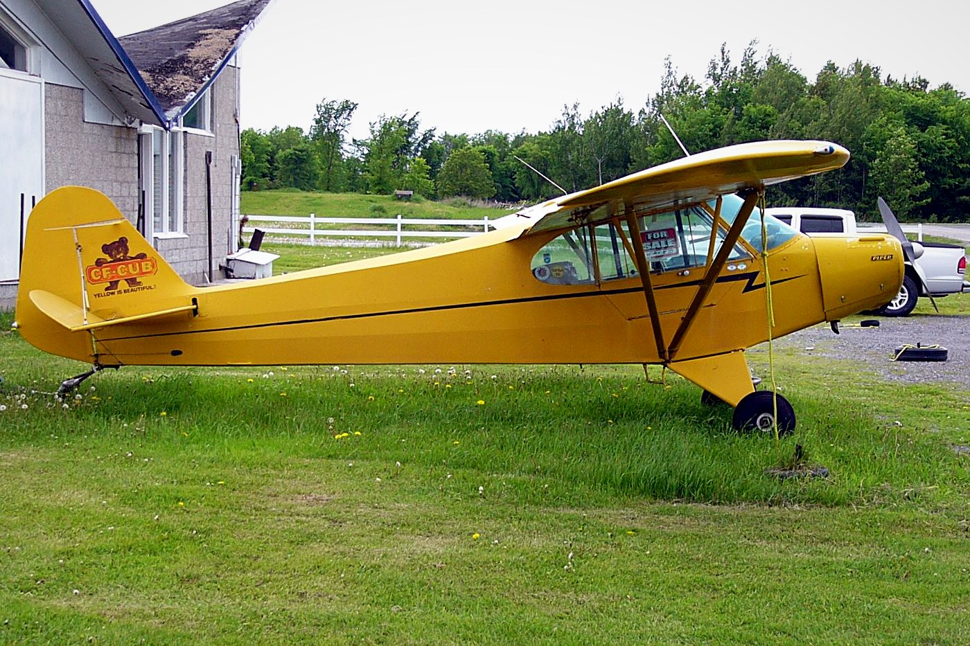 Piper PA-11 Cub Special