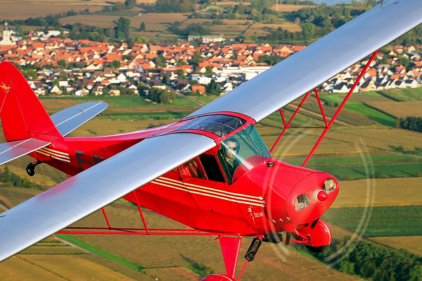 Porterfield CP-65 Collegiate