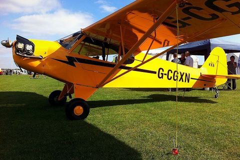 AL3 Legend Cub