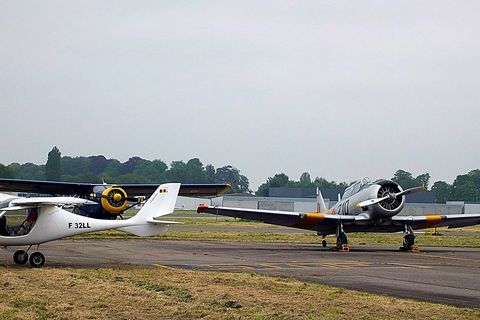 CTSW