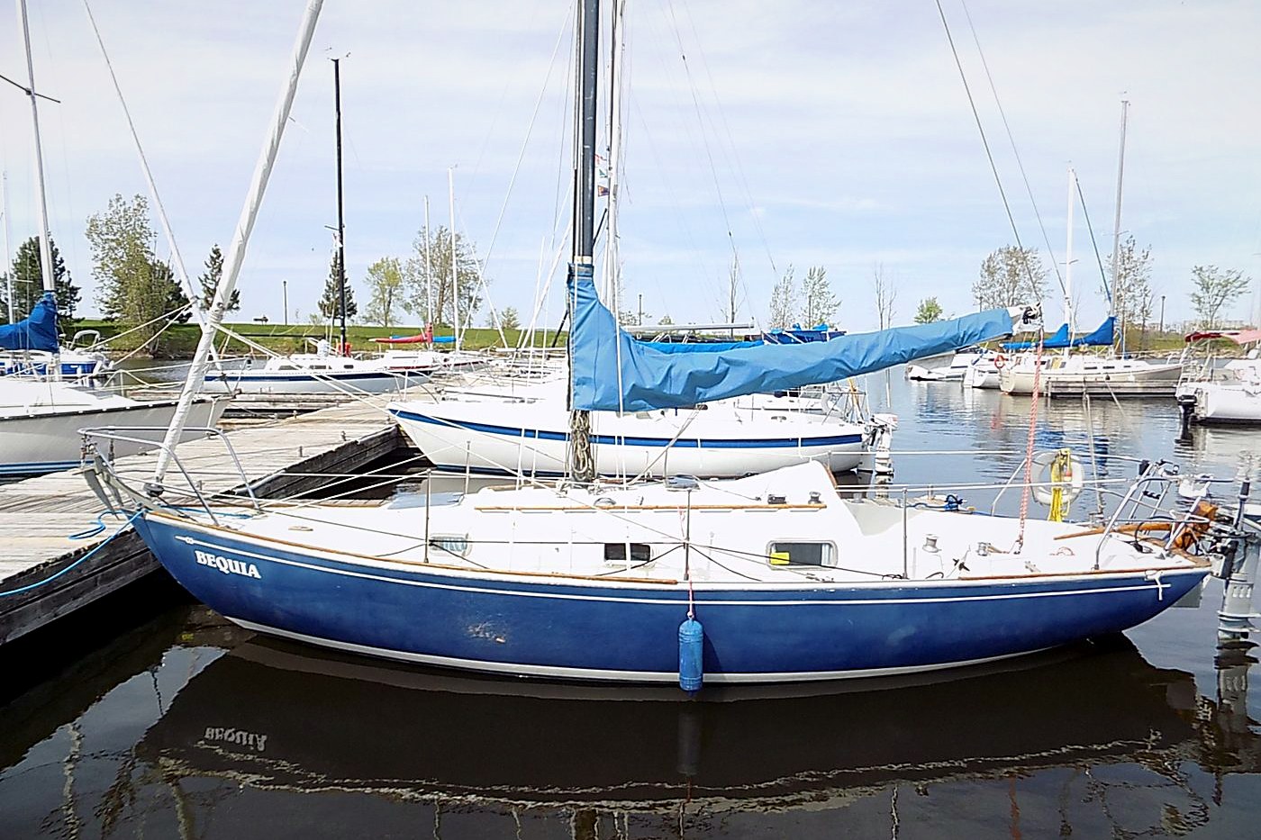 Contessa 26
