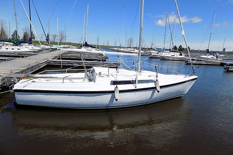 26