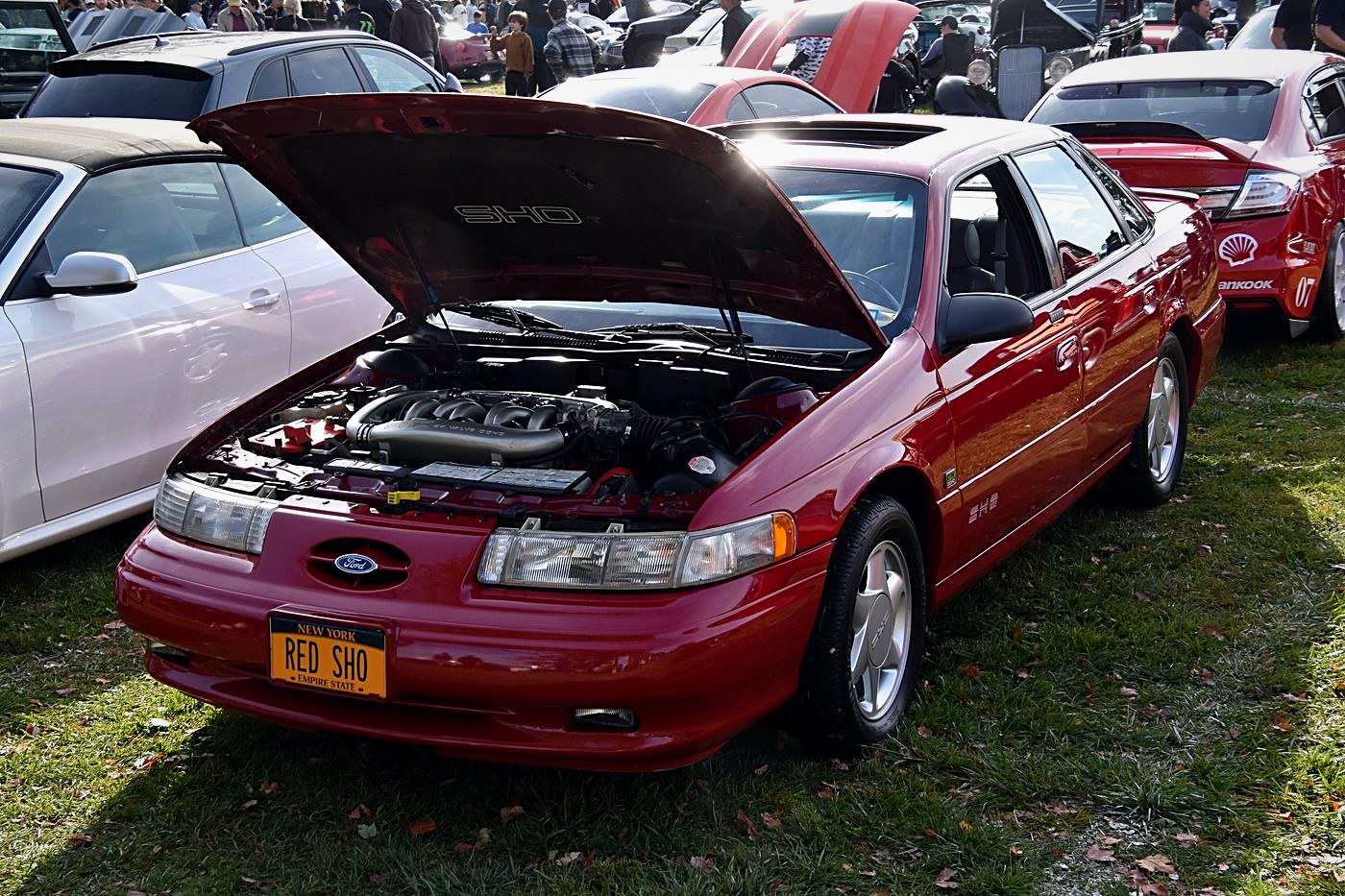 Ford Taurus SHO