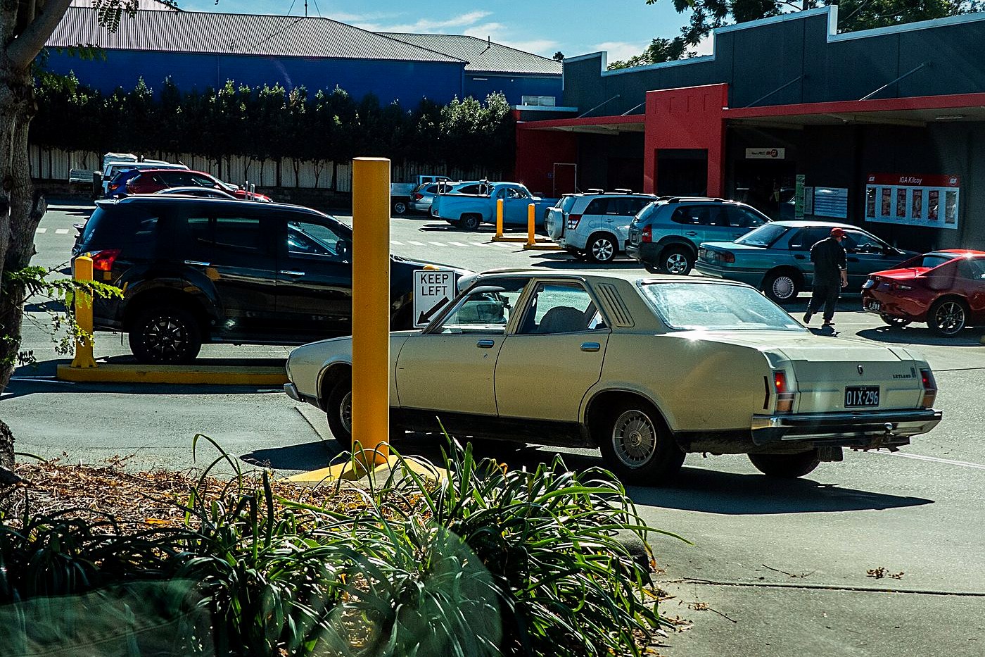 Leyland P76