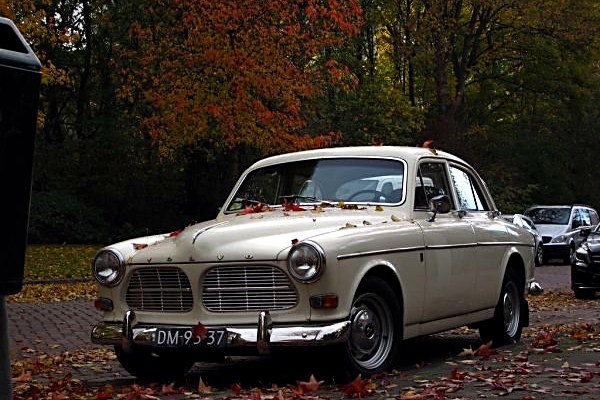 Volvo 122 Amazon