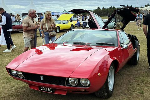 Mangusta