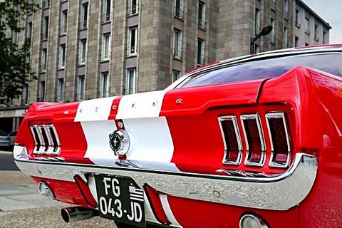 Mustang