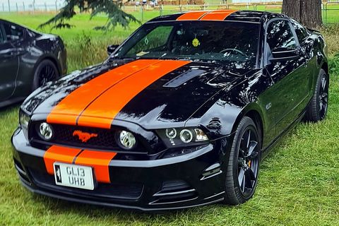Mustang