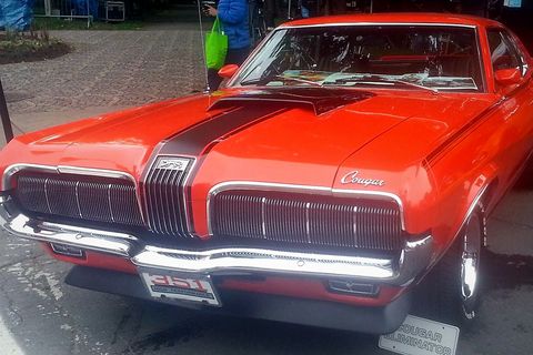 Cougar