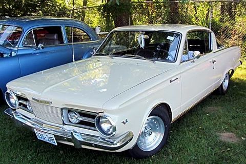 Barracuda