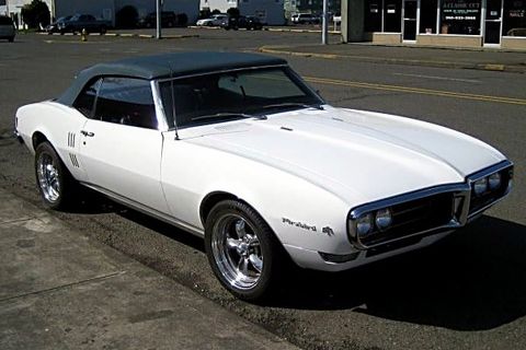 Firebird