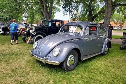 Beetle