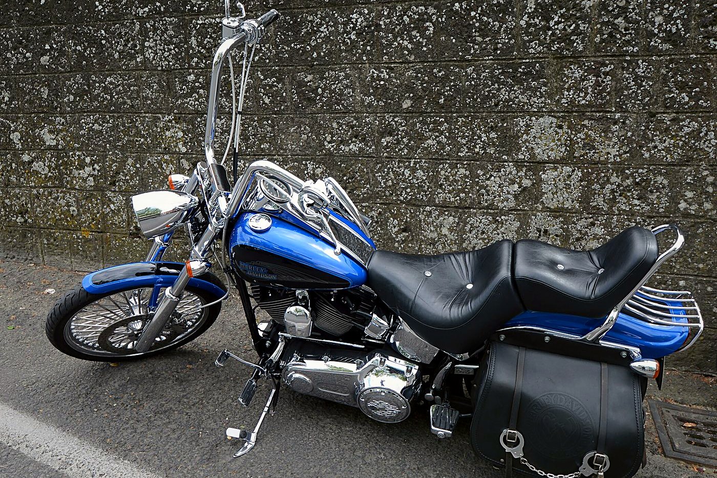 Harley-Davidson Dyna Street Bob (FXDB)