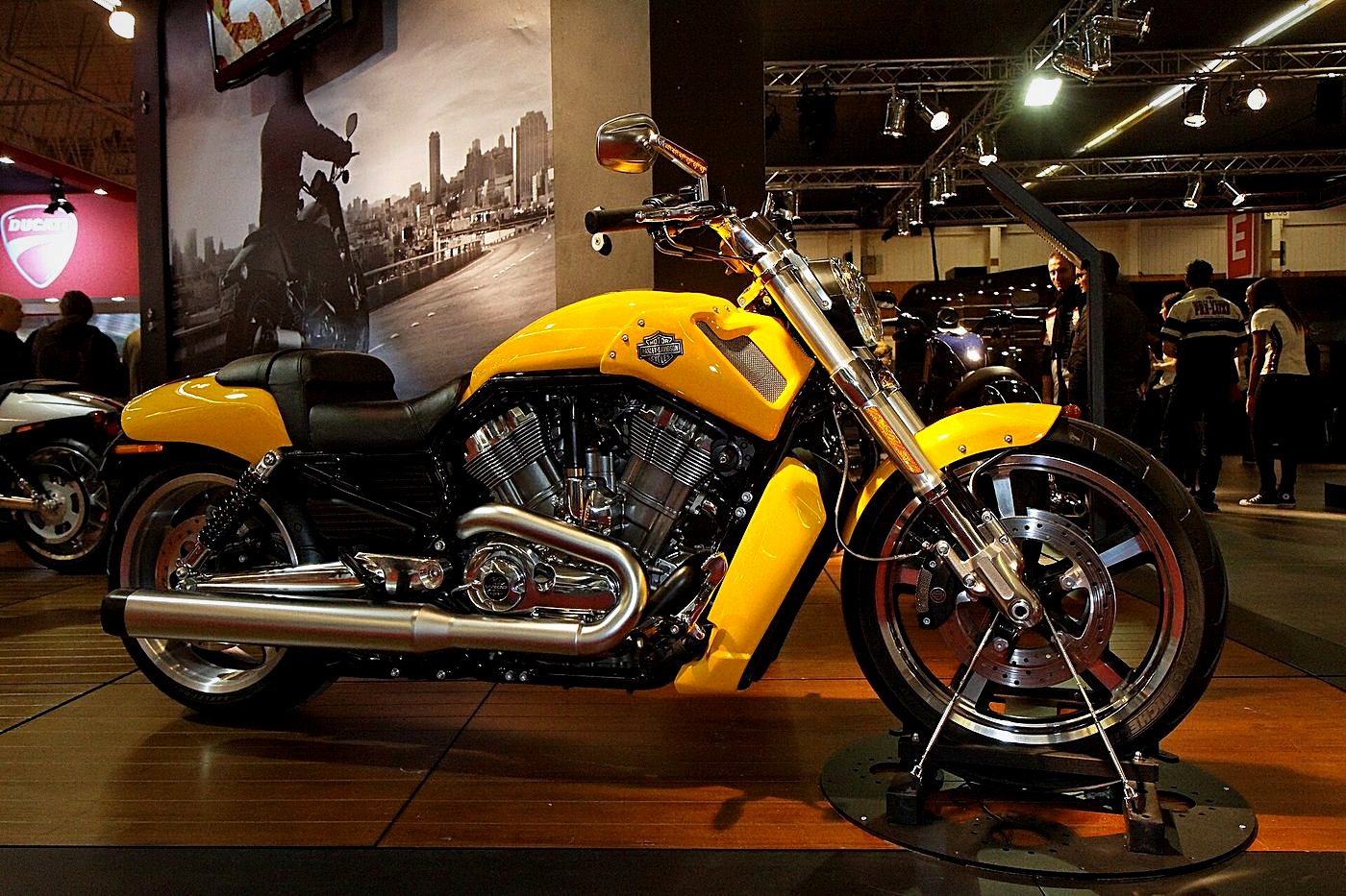 Harley-Davidson V-Rod Muscle (VRSCF)