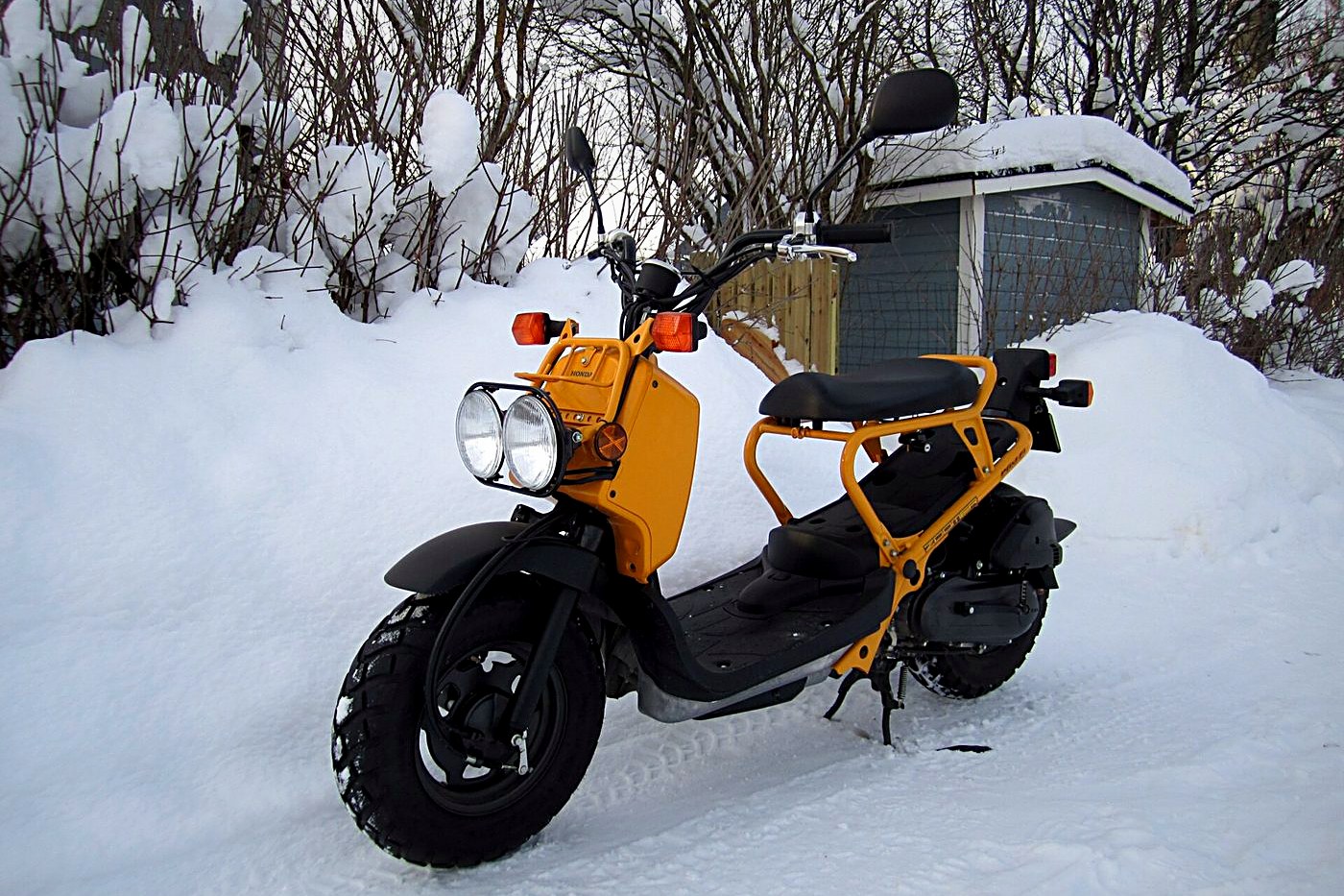 Honda Ruckus