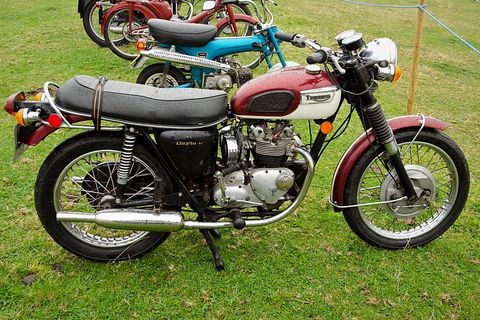 Tiger 100 Daytona