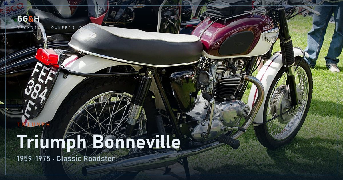 Putting a Motorcycle Away for Winter, Properly